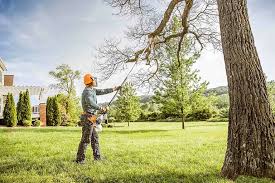 Best Emergency Tree Removal  in Conneaut, OH