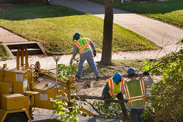 Best Pest Control for Lawns  in Conneaut, OH